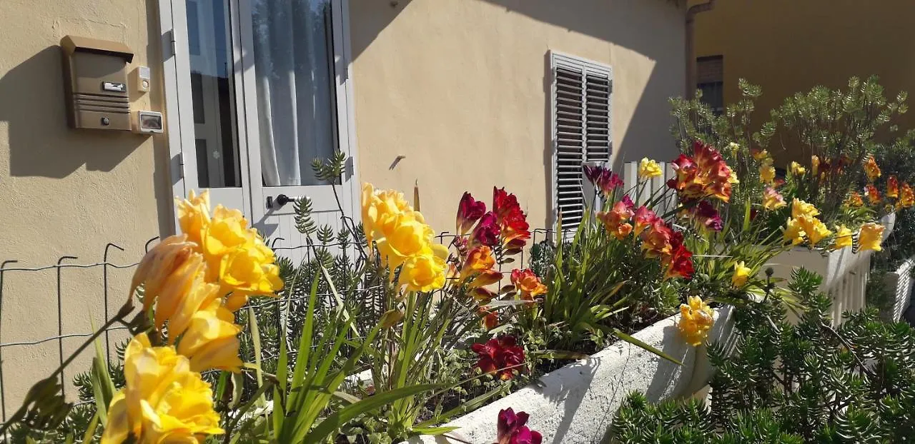Casa vacanze Villa Sa Domu Antiga Solarussa